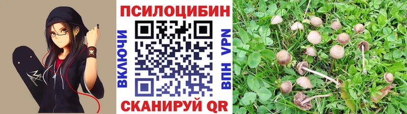 купить  цена  Суздаль  Галлюциногенные грибы мухоморы 